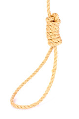 Suicide Noose isolated on white