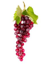 Pink grape cluster isolated on white