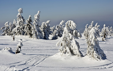 Karkonski widok