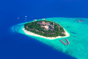 Tropical island at Maldives - obrazy, fototapety, plakaty