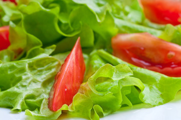 Fresh vegetable salad