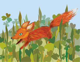 Fox in the grass funny cartoon