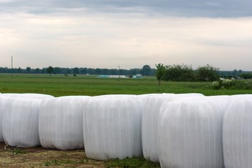 silage, bales