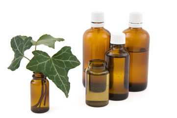 Efeu in der Naturarznei