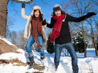 jump into  the snow