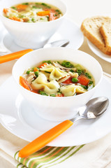 Chicken noodle soup with vegetables