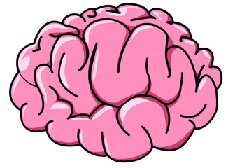 illustration human brain in profile