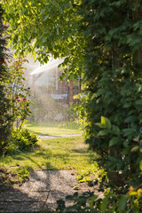 Blick in einen Garten