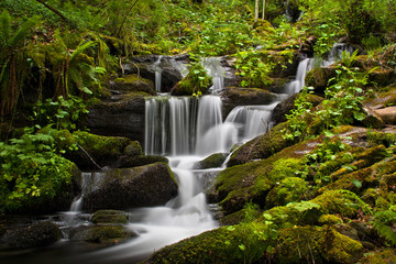 Cascada Busmayor