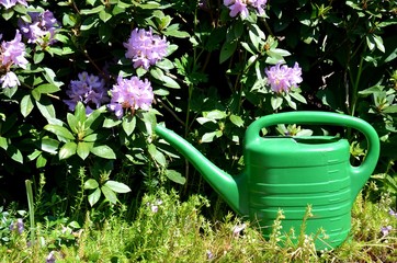 Gießkanne im Garten