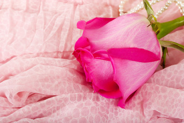 background of jewels and rose