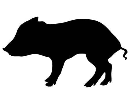 Frischling Silhouette