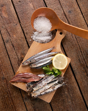 Acciughe - alici - sardine