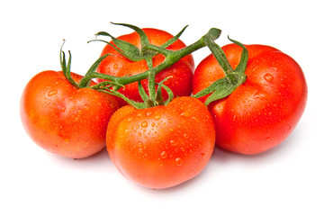 red tomatoes isolated
