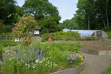 Greenhouse and Garden