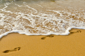 Human footprints leading away from the viewer into the sea