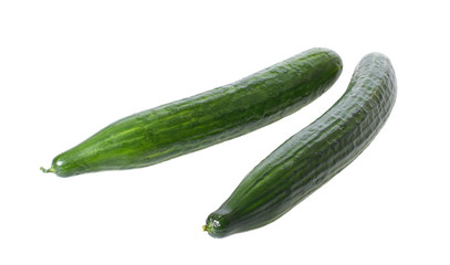 Salatgurken