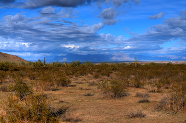 Desert Storm Forming