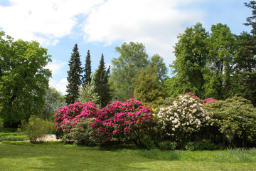Großer Garten im Frühling
