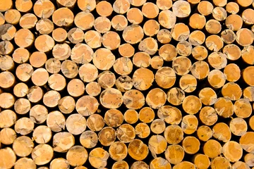 Möbelaufkleber wood © manasapat