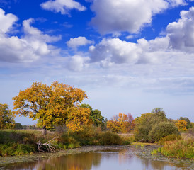 autumn landscape with  river