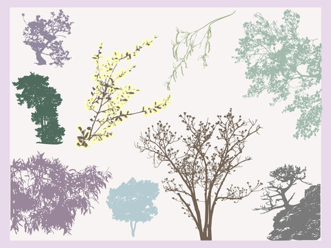 Set of natural tree and branches tracing silhouettes.