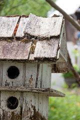 A shake-roofed old birdhouse