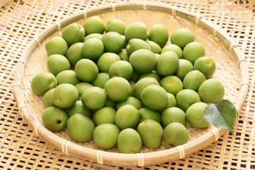 青梅（古城種）
