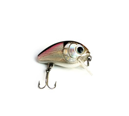 beautiful fishing lure