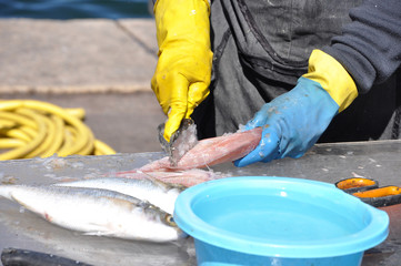 préparation du poisson