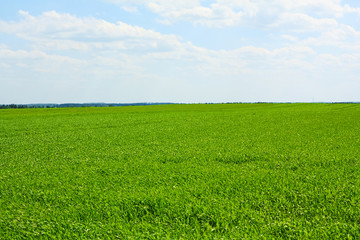 Lithuanian agricultural land in the fields