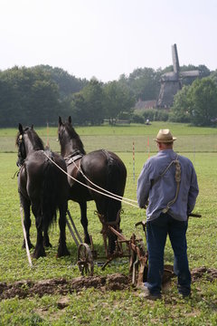 Pfl&uuml;gen