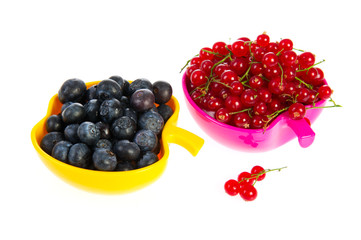 Blue berries and red currants