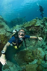 Deurstickers scuba diver on reef © JonMilnes