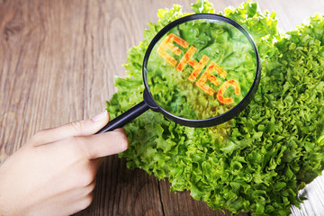 Grüner Salat mit Lupe und Hand ehec
