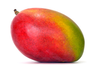 mango over white background