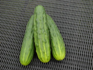 Gartengurken, frisch geerntet