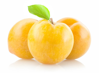 yellow plums