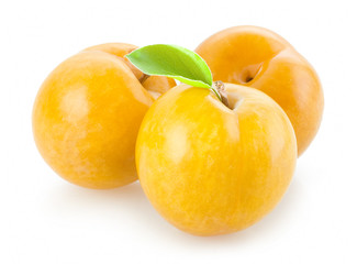 yellow plums