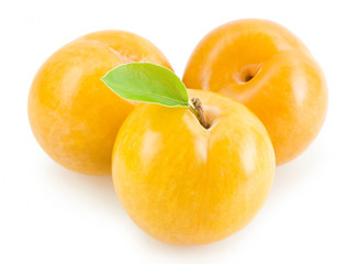 yellow plums