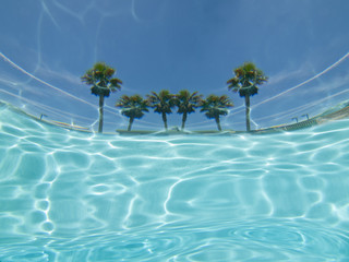 Obraz premium Underwater palm tree pool view abstract.