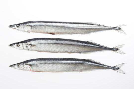 2 778 件の最適な 秋刀魚 画像 ストック写真 ベクター Adobe Stock