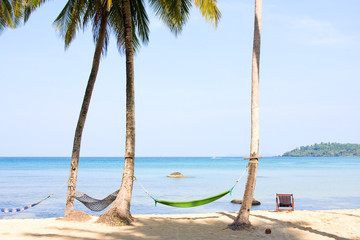 Sea, beach, jungle and hammock