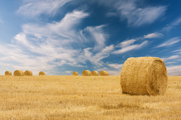 round bale of straw in the meadow © phant
