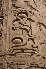 A closeup of a hieroglyph at Karnak Temple, Egypt
