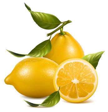 Vector. Fresh lemons with leaves.