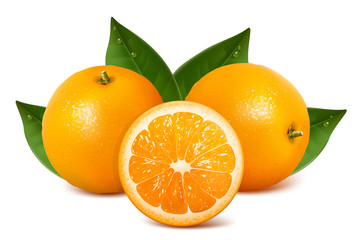 Vector fresh ripe oranges with leaves.