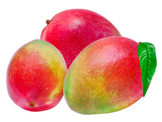 Mango isolated on white background