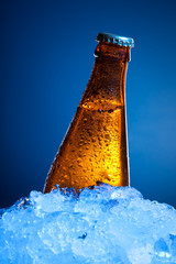 Beer bottle in ice