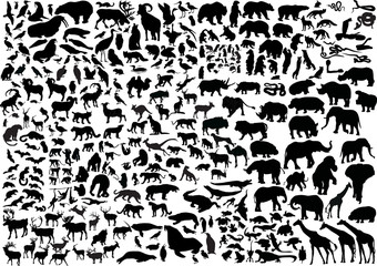 Fototapeta enormous animals silhouettes collection obraz